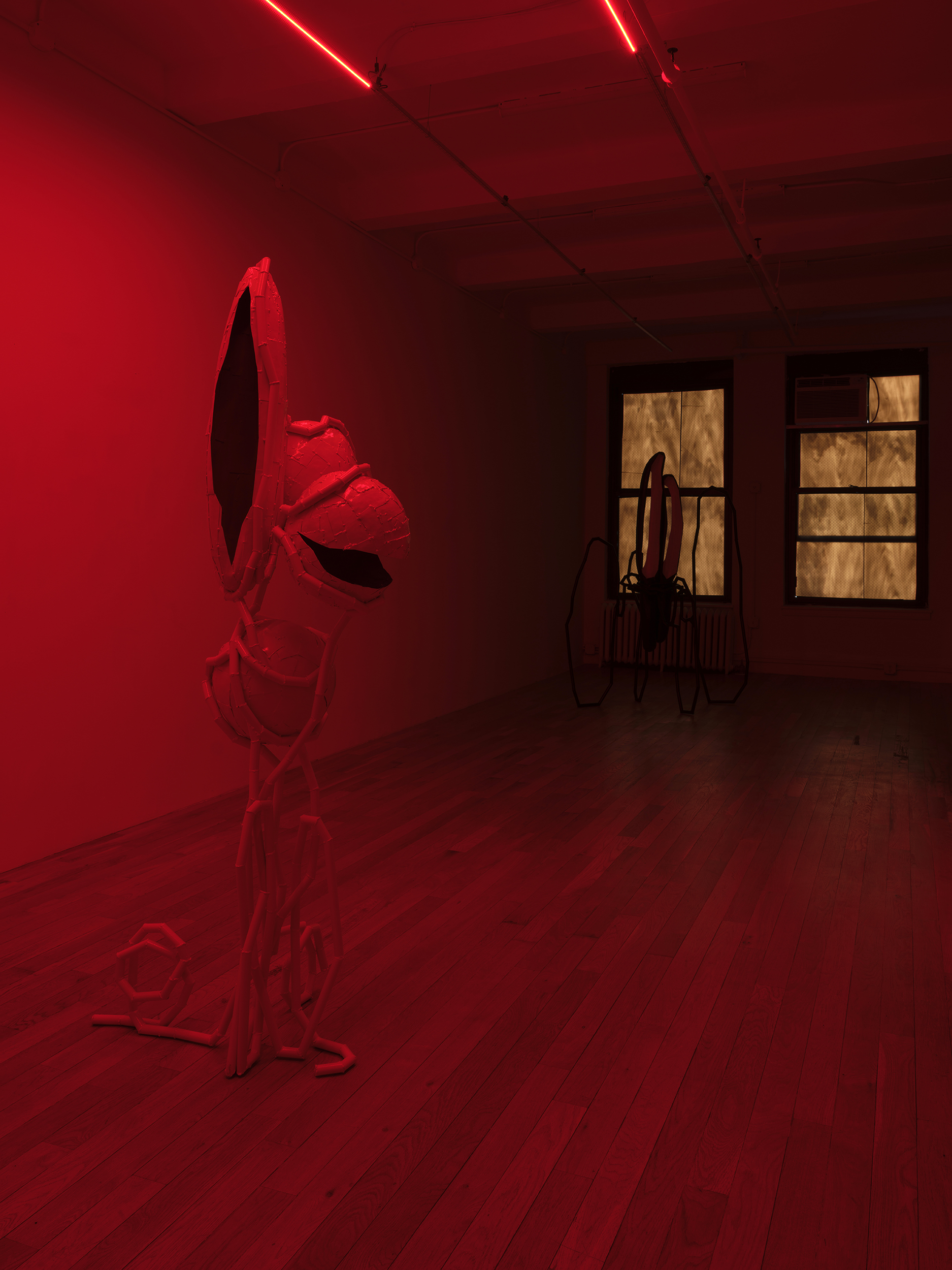 Indrikis Gelzis, project: Bingo Gaze (Fig. 4)