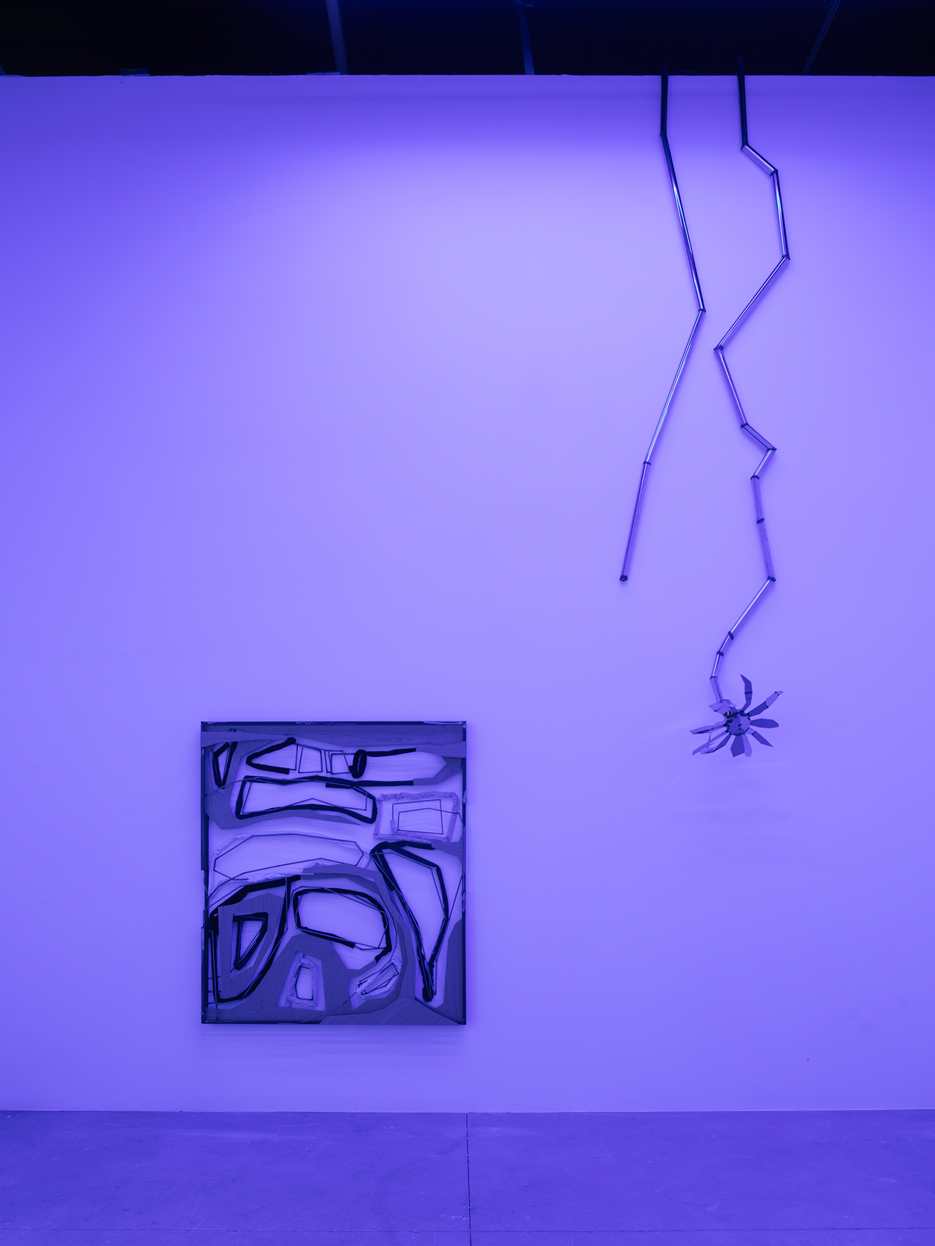 Indrikis Gelzis, project: Eyelash Fortress (Fig. 2)