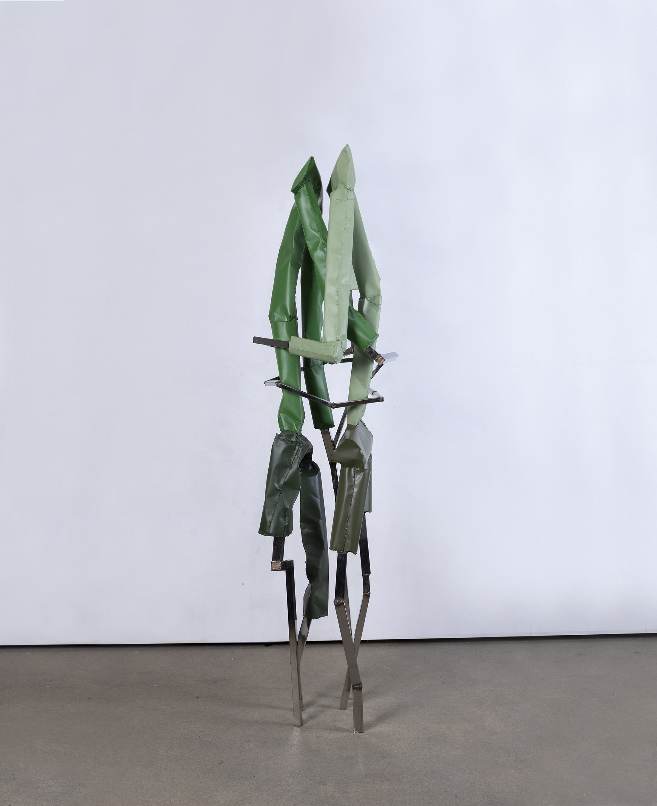 Indrikis Gelzis, project: The Name for Green is Camouflage (Fig. 1)