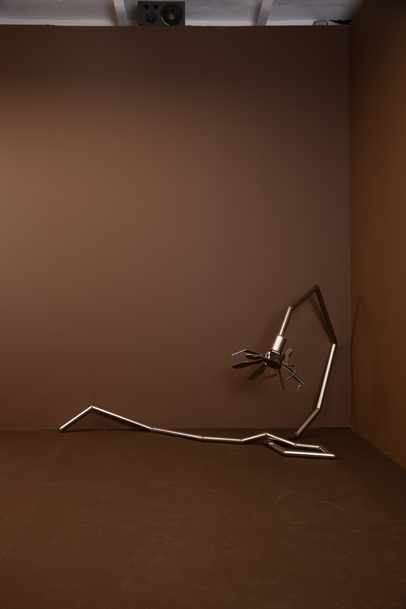 Indrikis Gelzis, project: Watery Day's Eye (Fig. 4)