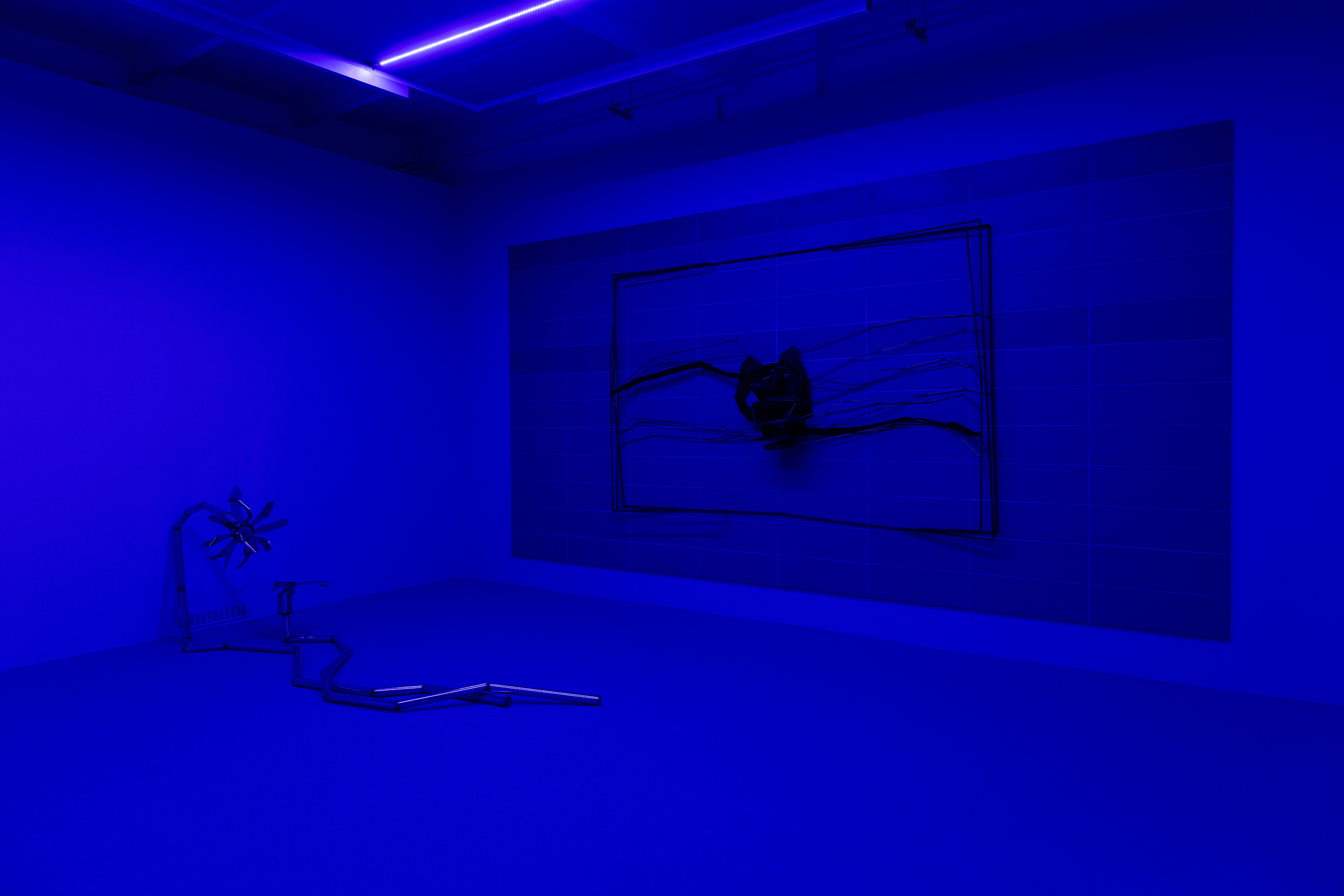Indrikis Gelzis, project: Watery Day's Eye (Fig. 12)
