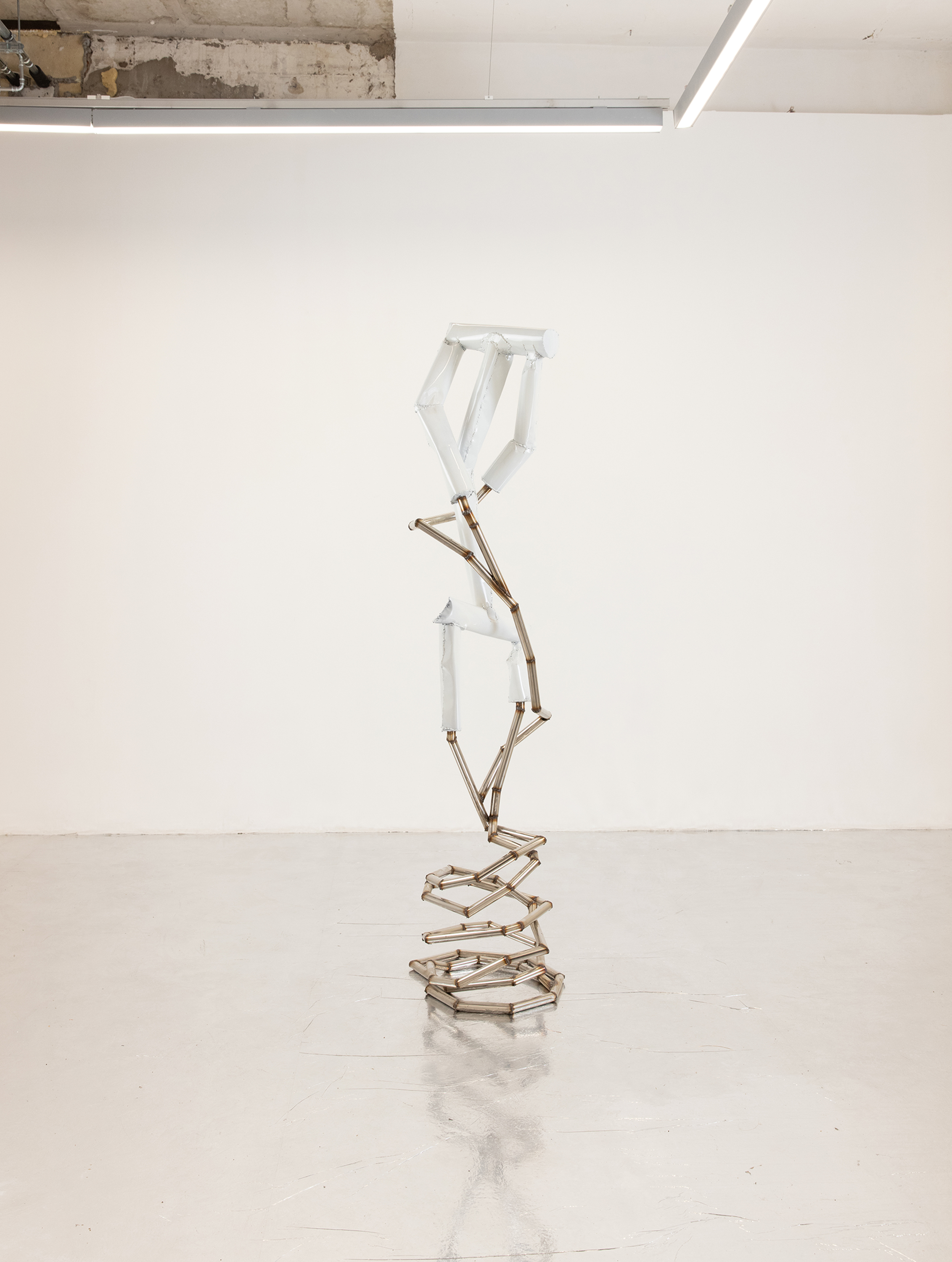 Indrikis Gelzis, project: Watery Day's Eye (Fig. 22)
